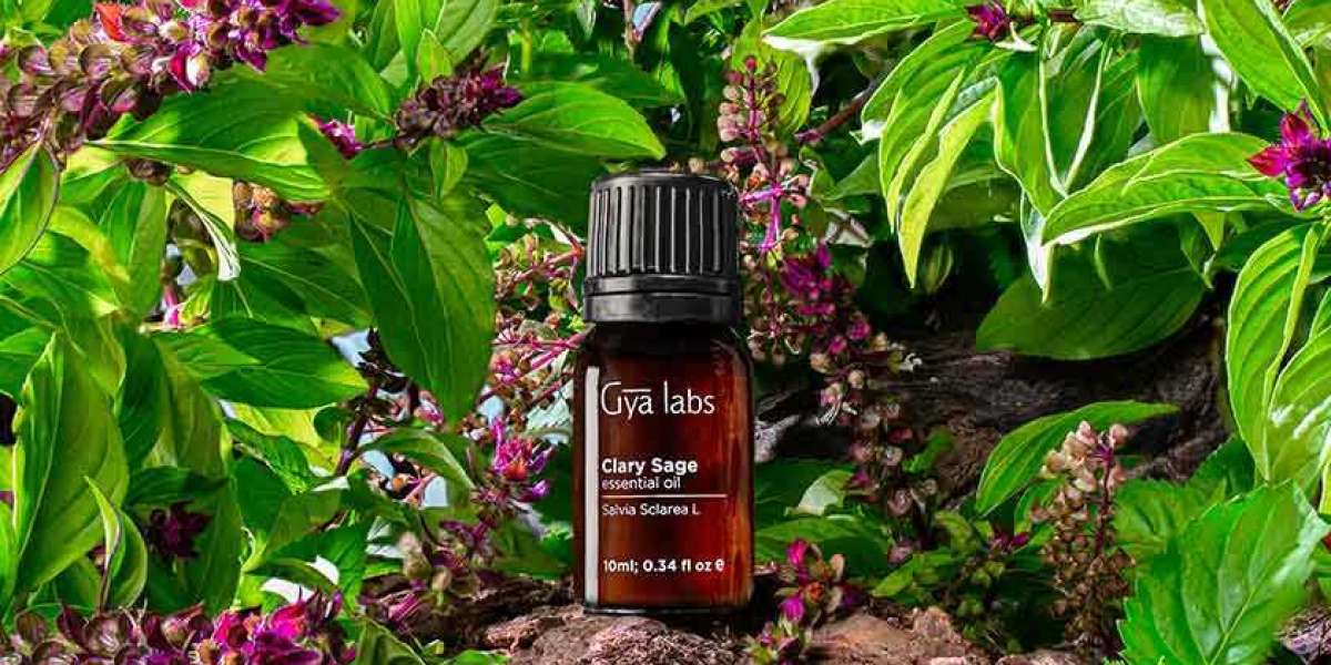 Unlock Wellness with Organic Clary Sage Oil: Discover GyaLabs Clary Sage Oil