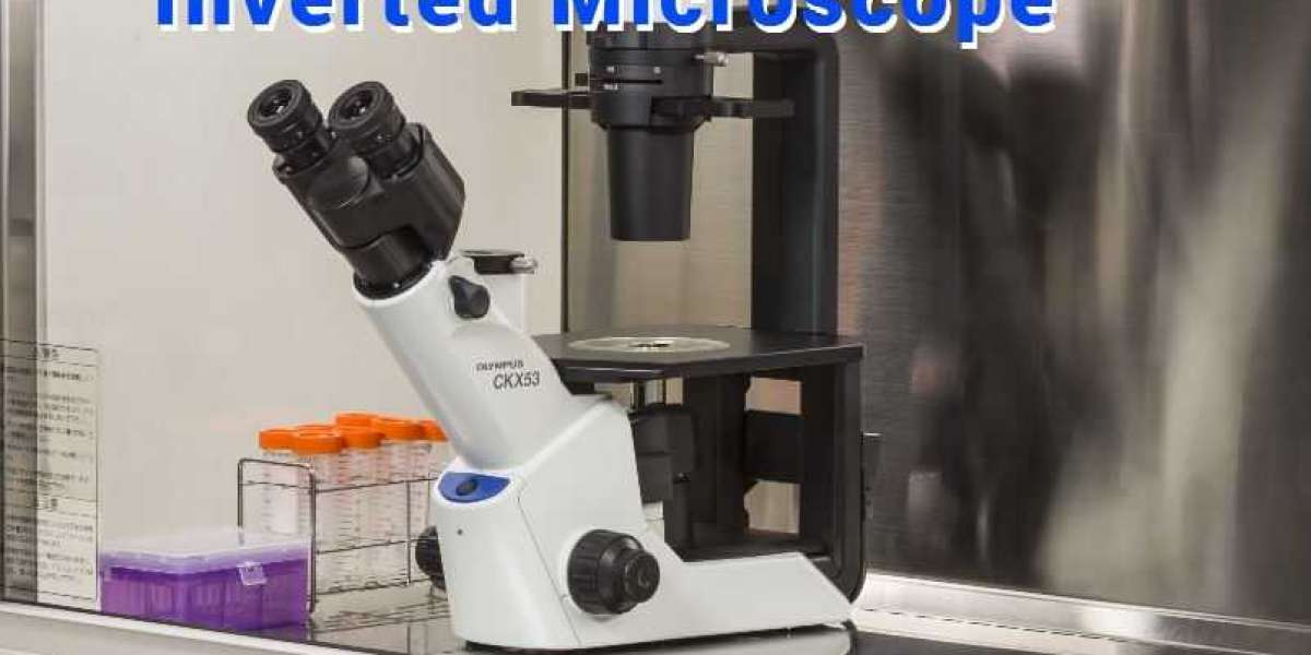 There are many different imaging options available with inverted microscopes