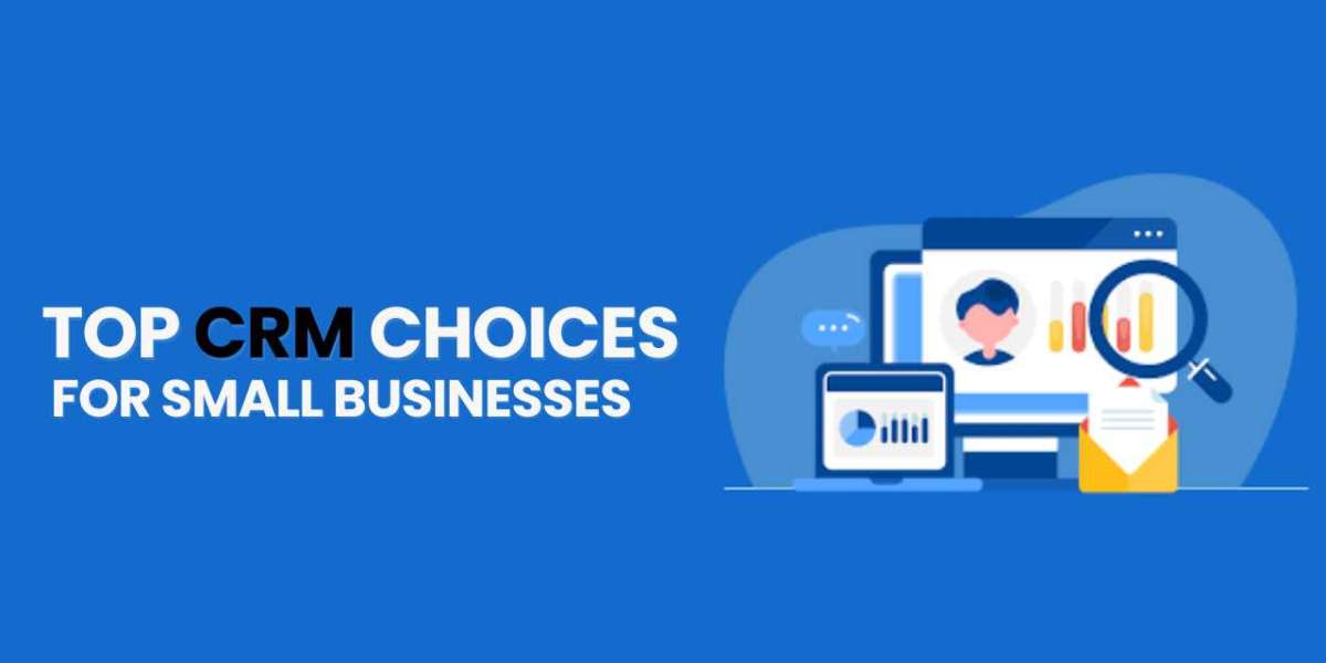Top CRM Choices for Small Businesses