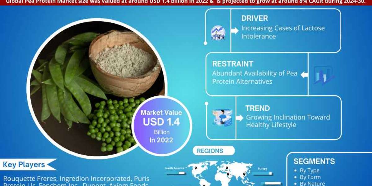 Global Pea Protein Market Business Strategies and Massive Demand by 2030 Market Share | Revenue and Forecast