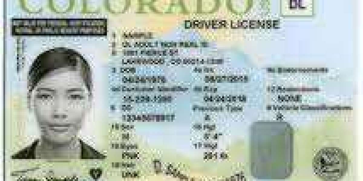 Unlocking the Essentials of the Colorado Driver's License Template