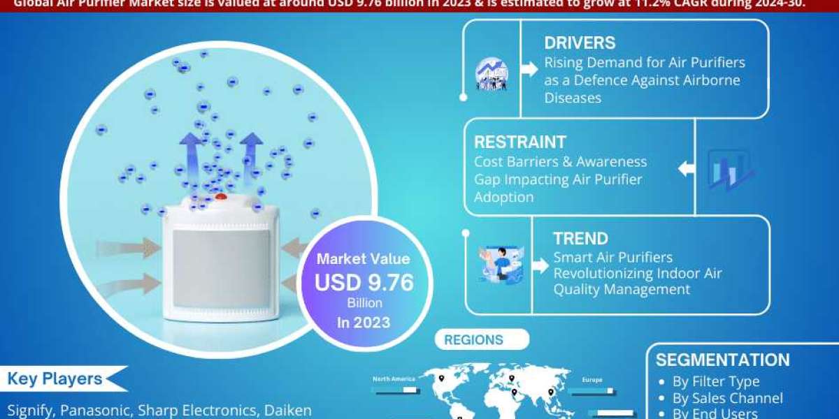 Global Air Purifier Market Business Strategies and Massive Demand by 2030 Market Share | Revenue and Forecast