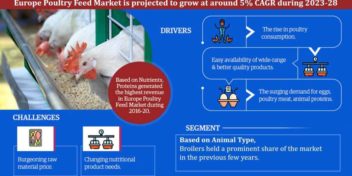 Europe Poultry Feed Market Business Strategies and Massive Demand by 2028 Market Share | Revenue and Forecast